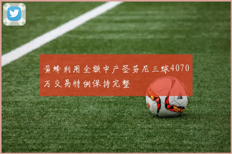 黄蜂利用全额中产签芬尼三球4070万交易特例保持完整