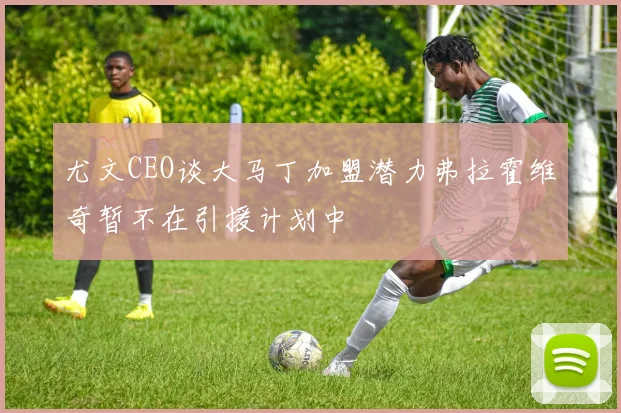 尤文CEO谈大马丁加盟潜力弗拉霍维奇暂不在引援计划中